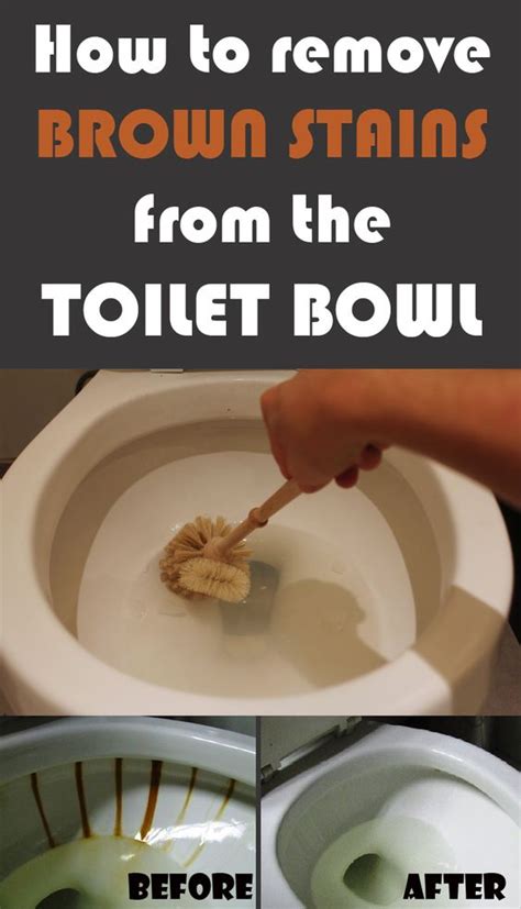 If you're dealing with poopy carpets. How to remove brown stains from the toilet bowl ...
