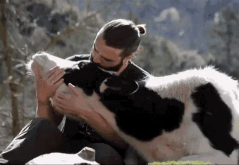 Animated images of funny cats in gif format. Hva er forskjellen på en ku og en hund? - Kosthold ...