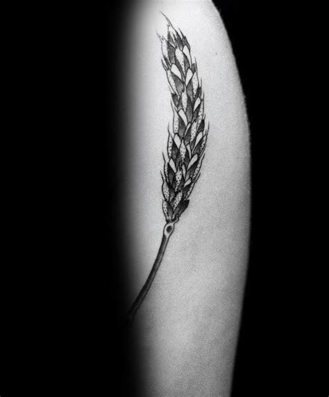 Choose a wider area like the back, neck and shoulders size: 50 Wheat Tattoo Designs For Men - Cool Crop Ink Ideas ...