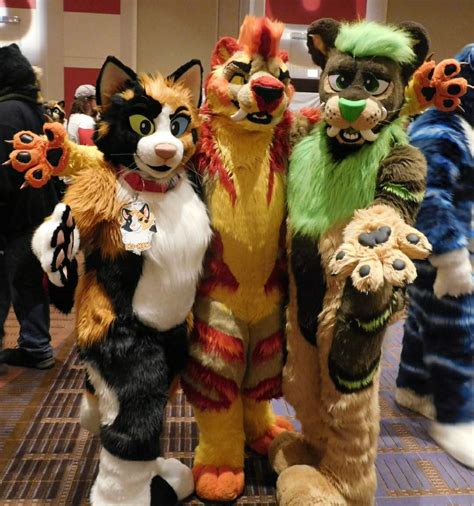 Learn from the file experts at file.org. My MFF 2018 Experience! | Furry Amino