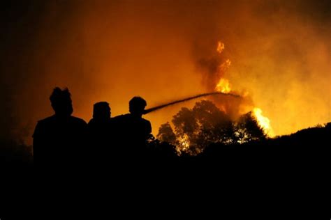 Les flammes attisées par des vents forts ravageaient toujours, dans la soirée, des cultures. La Grèce lutte contre trois grands fronts d'incendie ...