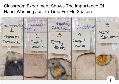 As a family business, we understand the importance of eradicating pests efficiently and effectively. Blue Bird Soaps - 60 Photos - Health/Beauty - Goose Creek ...