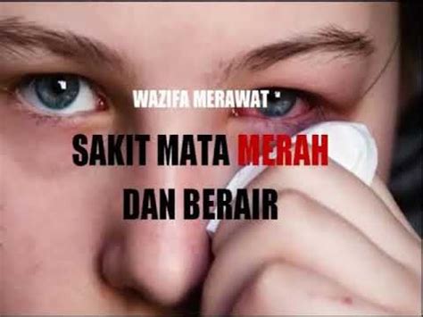 Meski begitu, mata berair pada kucing bisa juga karena virus sampai kotoran yang masuk. WAZIFA MERAWAT SAKIT MATA MERAH DAN BERAIR (With images ...