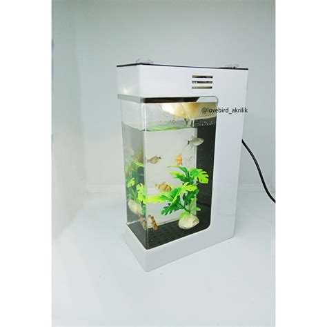 Sahabat 99, apakah kamu salah satu pecinta aquascape? Get Desain Aquarium Aquarium Ikan Cupang Minimalis Gif