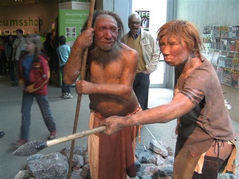 8 Neanderthal Traits in Modern Humans - Owlcation - Education