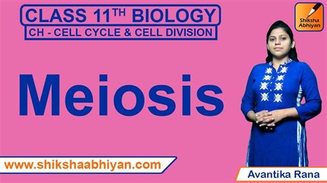 A genome is a genetic terminology, which refers to the total complement of genes in a cell that can be stored in one or more chromosomes. Meiosis - #CBSE Class 11 Biology - YouTube