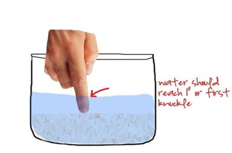 Cover dish and cook on high 5 more minutes. How to cook rice with a rice cooker - Quora