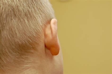 Thanks to a beneficial little piece of anatomy called eustachian tubes, the pressure inside of your ears is able to how to equalize the pressure in your ears. Pimple in Ear, Inside Ear Canal, Behind Ear - Cause, How ...
