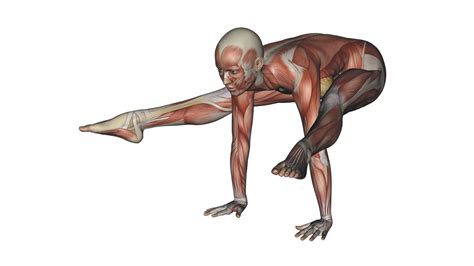 1 most advanced yoga poses. Firefly Pose - Yoga Anatomy | Om Yoga Magazine