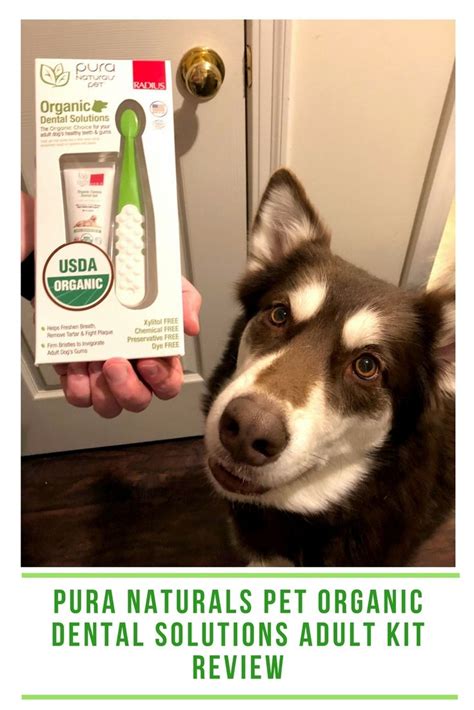 Most pet insurance policies do not cover dental care. Pura Naturals Pet Organic Dental Solutions Adult Kit ...