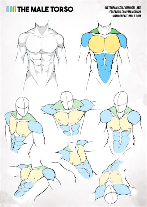 Basic female torso tutorial by timflanagan on deviantart. simplified anatomy 01 - male torso by mamoonart on DeviantArt