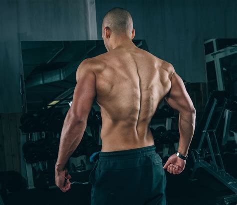 Muscle imbalances can cause uneven back muscles, poor posture or even increased risk of injury. 5 tips for maximizing your lat exercises http://www ...
