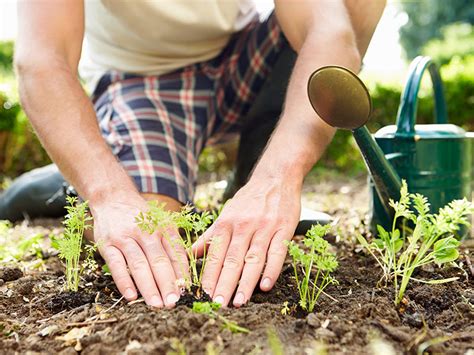 Man kann auch kleingarten dazu sagen oder laube. Schrebergarten: Worauf Kleingärtner beim Pachtvertrag ...