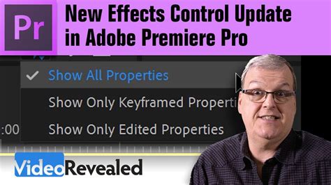 Effects, transitions, titles, luts, duotones, sounds. New Effect Control Update in Adobe Premiere Pro - YouTube