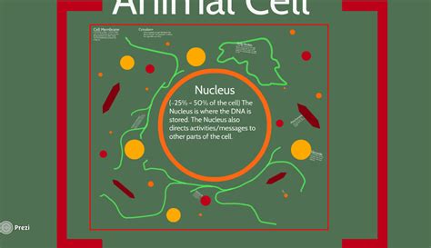 Check spelling or type a new query. Cells Go From One To Trillions! (Sebastianj) | Cell ...