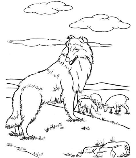You can print out and color this german shepherd puppy coloring page or color online. German Shepherd Dog Coloring Page - Coloring Home