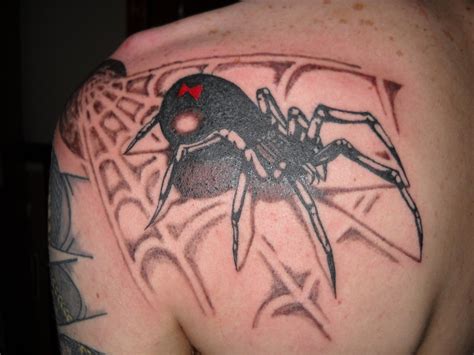 See more ideas about tygr, tetování tygra, kreslení. Tetování pavouk | Fotogalerie motivy tetování