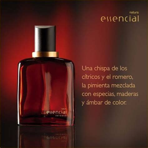 Essencial exclusivo був випущений в 2010. Essencial Exclusivo - Fragancia masculino | Perfumeria ...