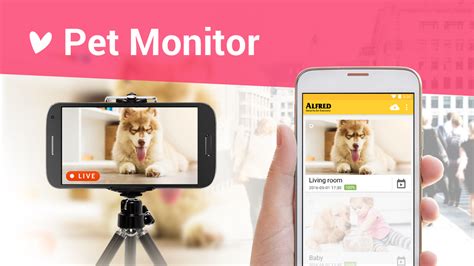 You only have to download alfred to repurpose your old devices as a diy wifi camera or baby monitor: Home Security Camera - Alfred - Android Apps on Google Play