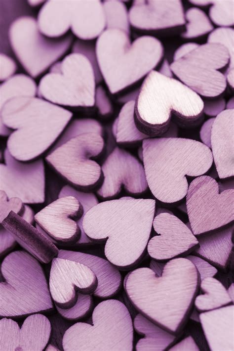 Free Stock Photo 13504 Pile of purple hearts | freeimageslive