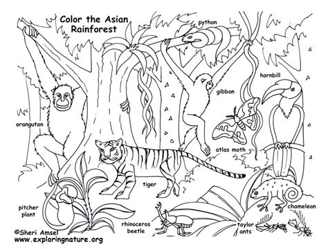 Coffee table rainforest animals coloring pages simple. Habitats Biomes Coloring Nature | Animal coloring books ...