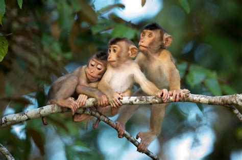 Liew chee ying's best boards. Singapore Photographers Awards