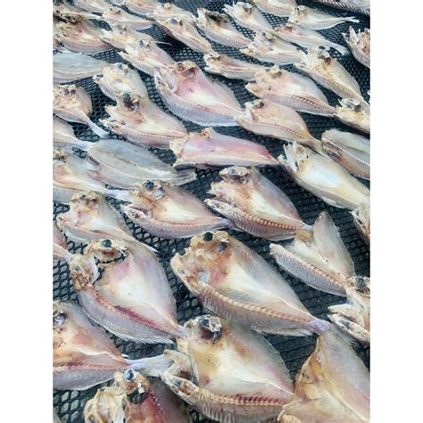 1 pek ikan gelama basah. IKAN GELAMA KERING ( SALTED FISH ) -MEDIUM | Shopee Malaysia