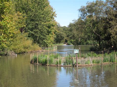 Besides this park, there are three more parks listed in eastbourne. Pond at Hampden Park © Oast House Archive :: Geograph ...