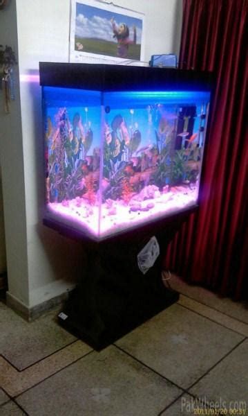 Switching to a rimless setup approx 45 gallons. 84 gallon fish aquarium for sale - Non Wheels Discussions ...