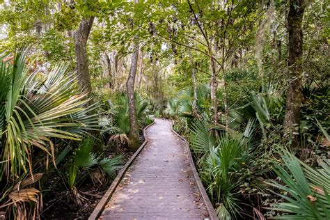 Maybe you would like to learn more about one of these? Best time for Hiking in New Orleans 2020 - Best Season & Map