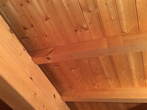 Die fast unsichtbaren fliegenköder werden einfach auf das fenster oder den fensterrahmen geklebt. Fliegenplage bei Sichtdachstuhl loswerden? (Haus, fliegen ...