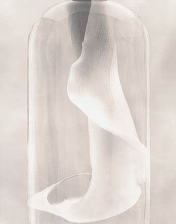 Benevolent Pleasures of Sight | Camille Solyagua Photography