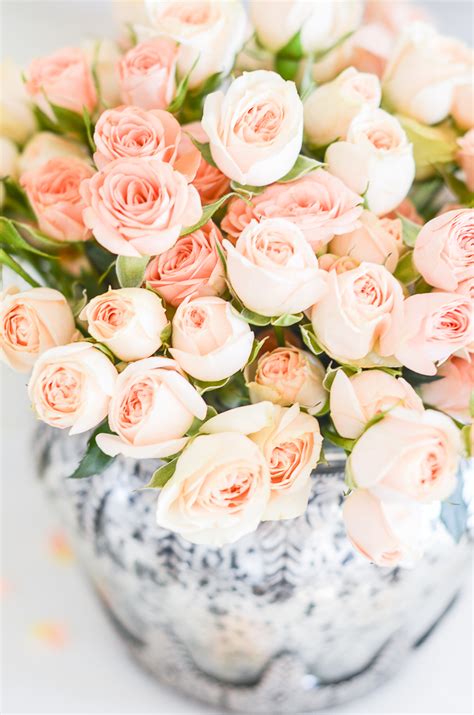 Florists everywhere will soon be opening their doors and putting out beautiful displays of vivid colour and fragrance, and it's a wonderful sight to behold. CARING FOR CUT FLOWERS TO LAST LONGER - StoneGable