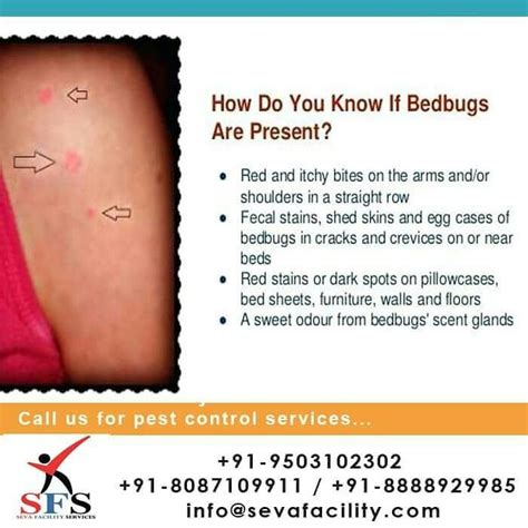 We are doing special pest control for bed bug. Head Office is at #Pune, Maharashtra, India. Branches at # ...