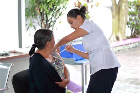 Cuba cuenta desde 1996 con un programa nacional de atención integral al adulto mayor, que tiene el propósito de adultos mayores, enfermos crónicos y funcionarios de la salud. Mi Vacuna Salud Gob Mx - Aplica Secretaría de Salud de ...