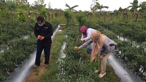 Terima kasih atas atensi anda. Solidaritas Masyarakat di Masa Pandemi COVID-19 - Srikandi ...