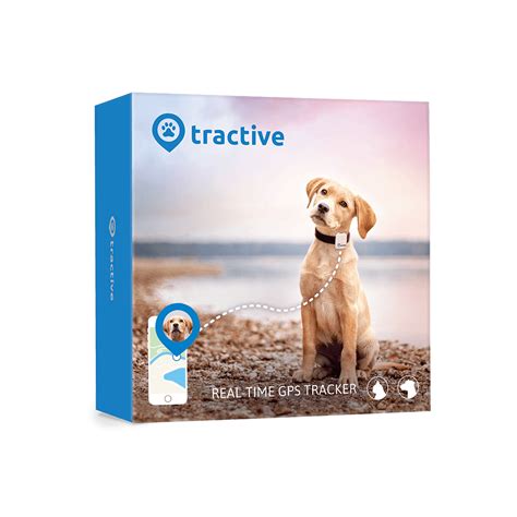 Kommt die mieze abends nicht vom freigang nach hause, ist die sorge groß. Dog Friendly Winter Activities - Tractive Blog ...