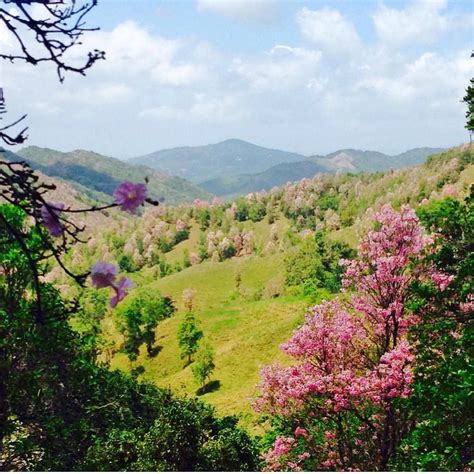 Landmarks in puerto rico are absolutely incredible. BackpackingPR on Instagram: "La Robleda, Cayey. Foto ...