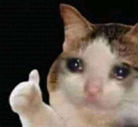 X 1080 cat meme 1080x1080 pixels sad cat reaction image sad cat juul cat problem meme coughing cat meme 1080 cute sad anime cats computer cat meme dank meme cat smiling sad cat meme 1050 x 672 sad cat meme hd sad cat butter meme. Pin on sad cats