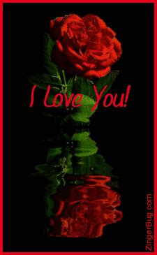 Beautiful rose to declare love to your girlfriend. fashion crazyixt: flowers wallpaper