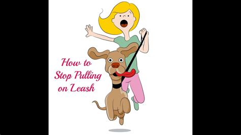 He will also let you know exactly how you can use the tools and equipment that you have right now to teach your dog to walk without pulling! How to Stop Your Dog from Pulling on the Leash - YouTube