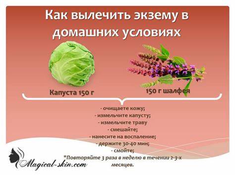 Диета При Экземе У Взрослых — Похудение Диета Правильное Питание Картинка - Диета При Экземе У Взрослых — Похудение Диета Правильное Питание