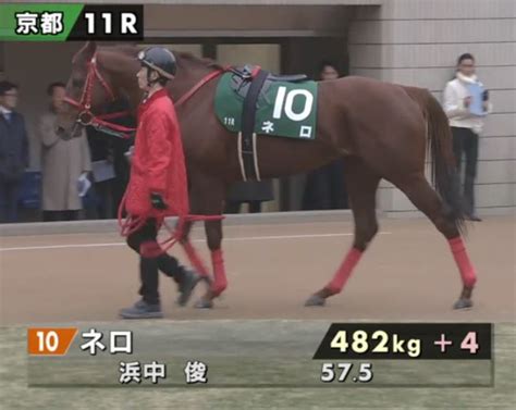 Jul 26, 2020 · 11 r 第20回アイビスサマーd(g3) 芝直線1000m / 天候 : 【アイビスサマーダッシュ2017】過去データ・有力馬ネロの馬体 ...