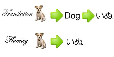 However learning how to use anki takes time and can be confusing. Learn Japanese with Pictures