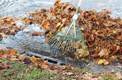 Compost bins can be purchased for $25. Yard Waste Collection for Seattle Customers this November