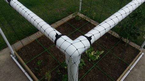 Maybe you would like to learn more about one of these? Built a square-foot garden over the weekend, complete with ...