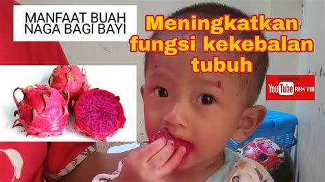 Manfaat buah naga untuk bayi umur 7 bulan dan video bayi makan buah naga. MANFAAT BUAH NAGA BAGI BAYI - YouTube