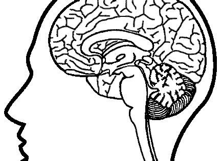 Learning about the nervous system can be fascinating for children of all ages! Brain coloring page | CC Cycle 3 Week 4 | Pinterest ...