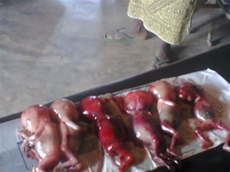 Pergam has provided answers to some of those questions below. SAD: Woman Delivers 6 Still-Born Babies In Benue [Graphic ...