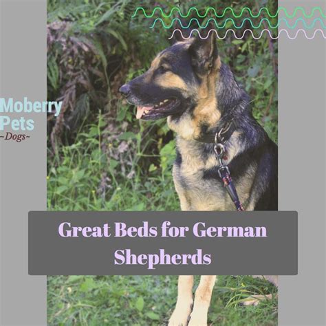 With information on why i love it and why they'll love it of each product to see what the best option is for you. Best Dog Bed for German Shepherds - Moberry Pets | Cool ...